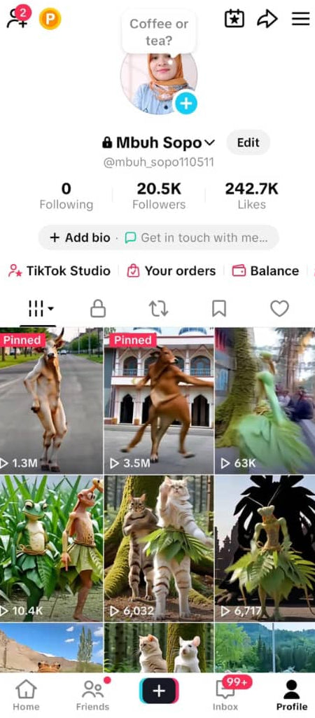 Indonesia tiktok 20k followers high quality profile
