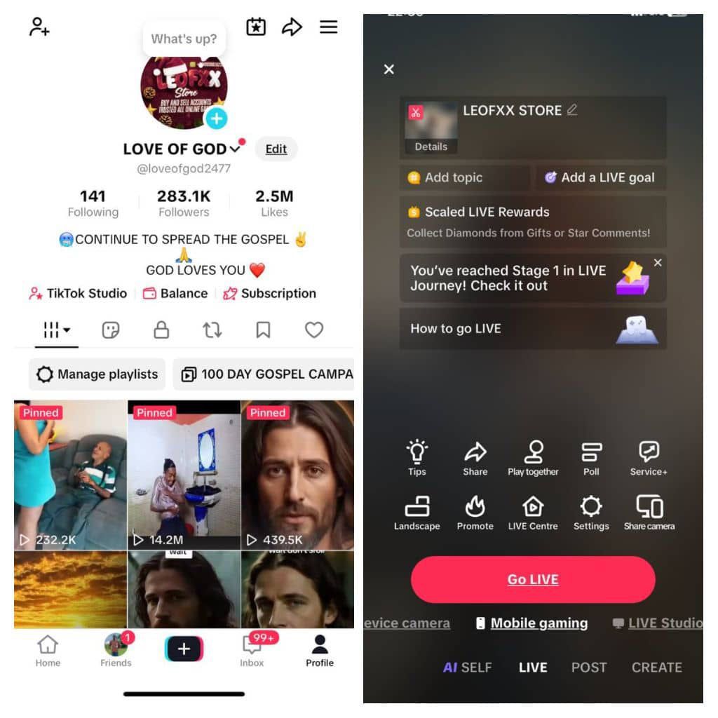 USA TikTok 283k followers high quality
