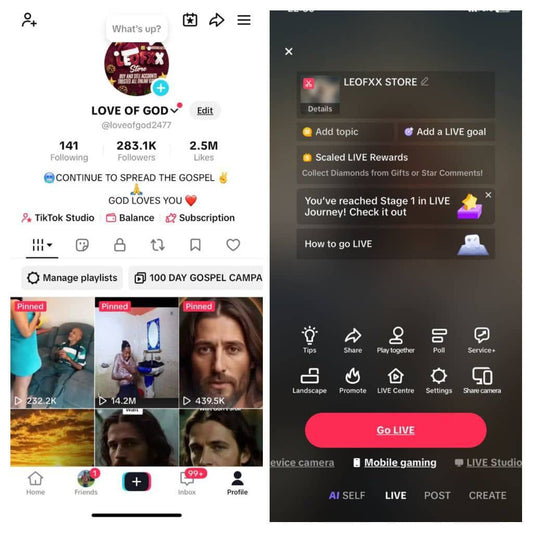 USA TikTok 283k followers high quality