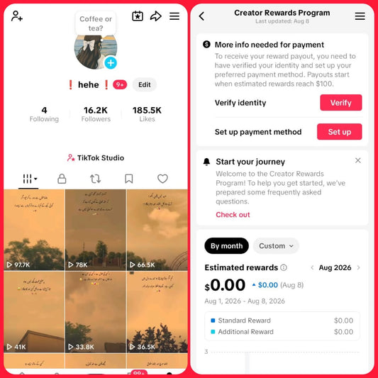 USA tiktok 16k followers high quality
