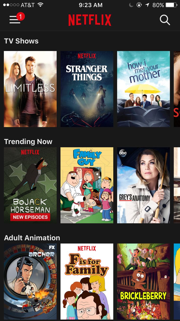 Netflix login 1 to 2 months don't share with anyone